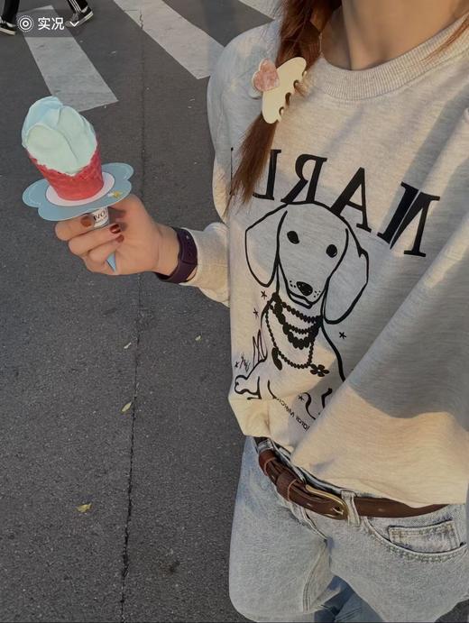 好韩系！敲好看的mardi小狗卫衣！ 商品图3