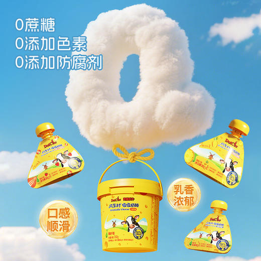SY【限时秒杀】荷兰乳牛吸吸奶酪360g桶  51%奶酪三种风味组合 商品图3