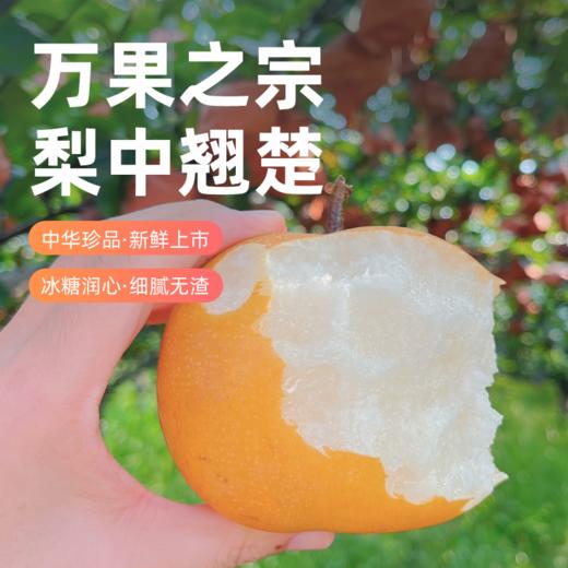 农心农意秋月梨梨中臻品细腻无渣，补水又润燥加赠中秋礼袋 商品图1