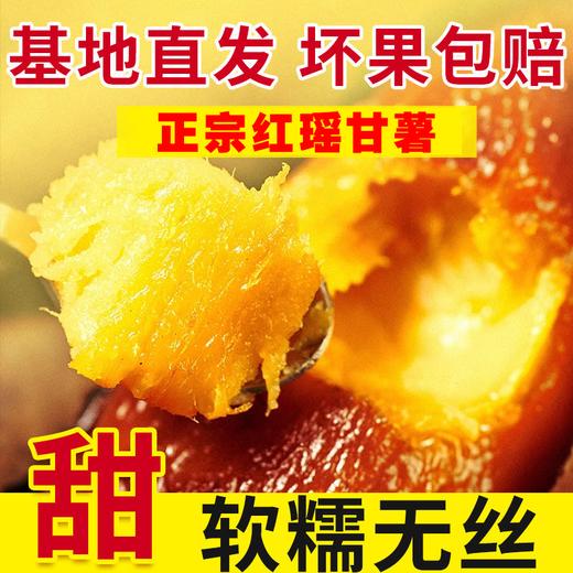 25年宁河红瑶甘薯 商品图5