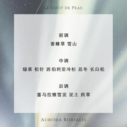 【肌肤之味】世界旅行系列香水中性 冷调松树忍冬高级 北境极光 商品图2