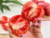 顺丰发货【四川攀枝花 粉罗兰老味道水果番茄】露天种植，自然成熟，沙瓤金籽，饱满多汁不空心❤番茄味浓郁，尝一口童年的味道 商品缩略图0