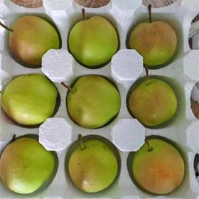 甜果源源 丹霞红梨