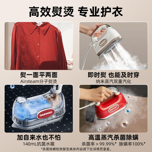 大宇2025新款hobo轻奢手持挂烫机平烫挂烫两用智能控温杀菌除螨 商品图5