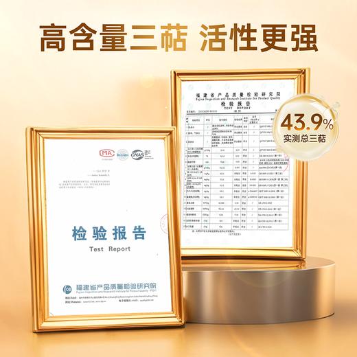 【畅销17年】元生泰牌灵芝孢子油软胶囊0.5g*24粒保肝护肝礼盒 萃取破壁灵芝孢子粉精华中老年人营养滋补保健品 商品图5