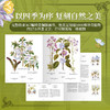 《植物圣经：欧洲传奇花园艾希施泰特花园图谱》植物科普手绘画册-分销 商品缩略图1