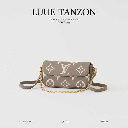 驴家  Wallet On Chain Ivy 手袋（JPH） 商品图0