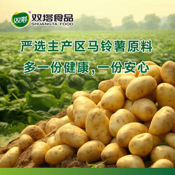 双塔马铃薯淀粉家用食用生粉炸酥肉裹肉粉勾芡凉粉烘焙原料200g*1袋 /粮油调味 /调味品 /淀粉 商品图4