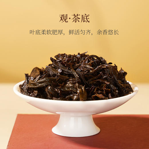 华祥苑 武夷印象大红袍 礼盒装252g 商品图5