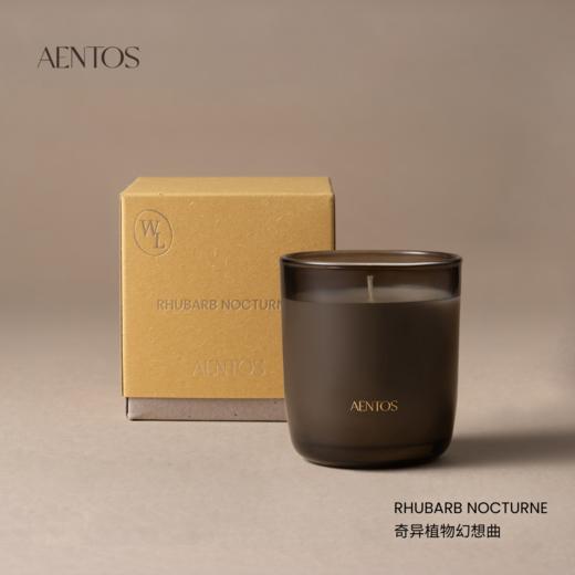 AENTOS野境之途系列香薰蜡烛200g 商品图2