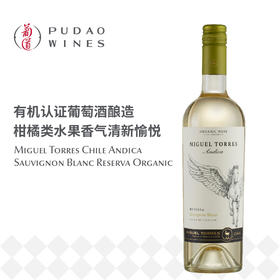 米高桃乐丝安第卡珍藏长相思干白葡萄酒Miguel Torres Chile Andica Sauvignon Blanc Reserva Organic