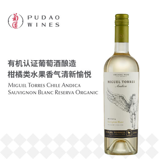 米高桃乐丝安第卡珍藏长相思干白葡萄酒Miguel Torres Chile Andica Sauvignon Blanc Reserva Organic 商品图0