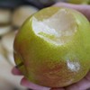 【果蔬精选】隰县玉露香梨精品 玉露天香 清新果绿 细白柔嫩 水润多汁 独特稀有 初恋般甜蜜 商品缩略图0