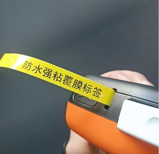 【JY】深圳普贴 标签色带WZe-231 12mm  一个 商品图2
