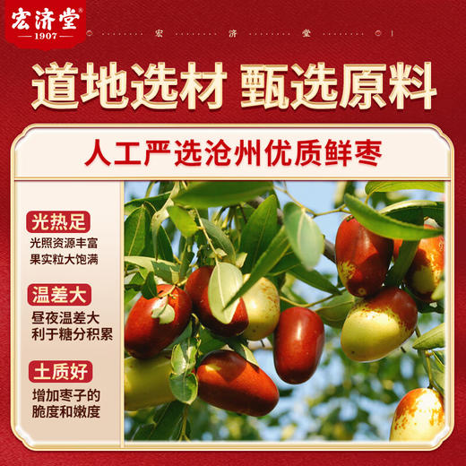 宏济堂 阿胶枣300g/袋 商品图3
