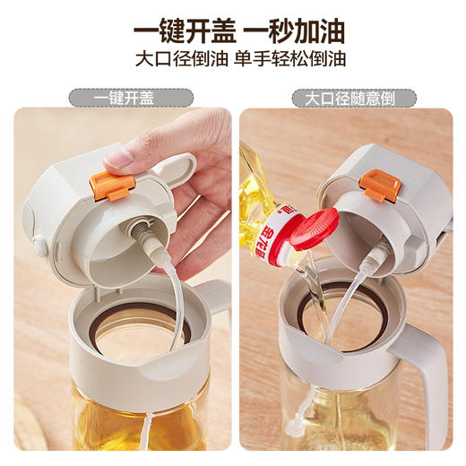 【乐博】查尔斯Charles喷倒一体快捷调味瓶 580ml 商品图1