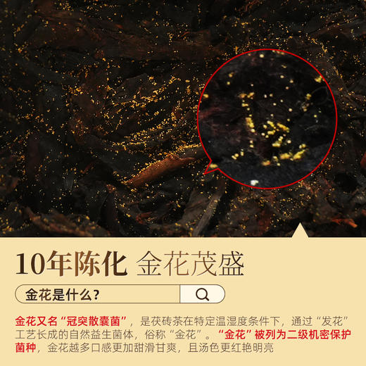 茶马世家安化黑茶 正品湖南茯茶手工金花茯砖茶天尖茶砖930g 商品图4