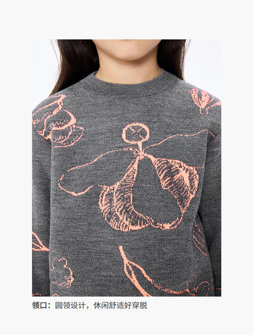 jnby  25年秋款  长袖套头毛衫  1P9311830 商品图5