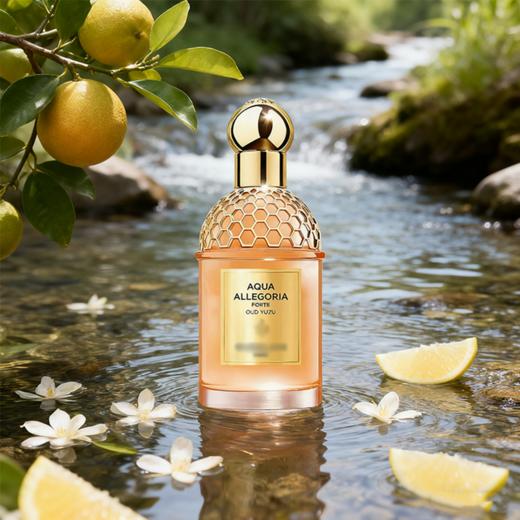 花草水语-清柚乌木淡香精  Aqua Allegoria Forte Oud Yuzu 分装 商品图0