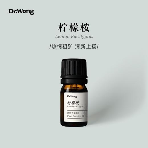 柠檬桉 植物香薰精油 商品图0