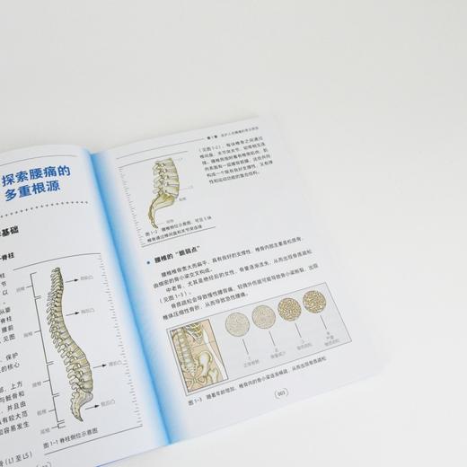 医护人员专属 告别慢性腰痛的锻炼手册  缓解腰痛 商品图3