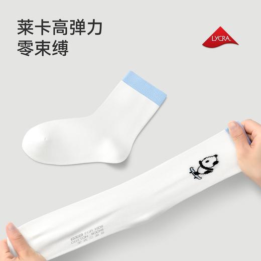 男女童中袜三双装秋季新款安奈儿童装JM537661 商品图1