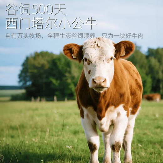 【暖妈专属】商都恒昌精选牛腱国产新鲜日期谷饲万亩自控牧场中餐牛肉72小时排酸生长500天左右公牛肉 商品图4