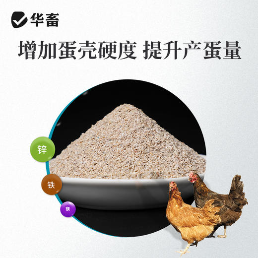 华畜贝壳粉20斤饲料 促进骨骼生长 改善蛋质 含钙高达90%以上 精细研磨细颗粒 更易消化吸收 商品图2