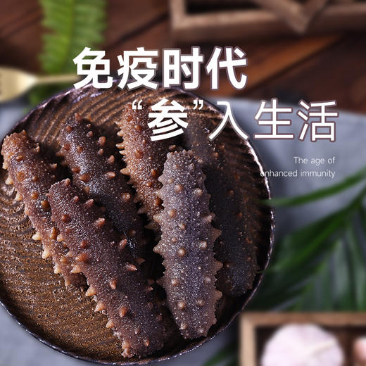 中国农垦-鲜食海参 商品图0