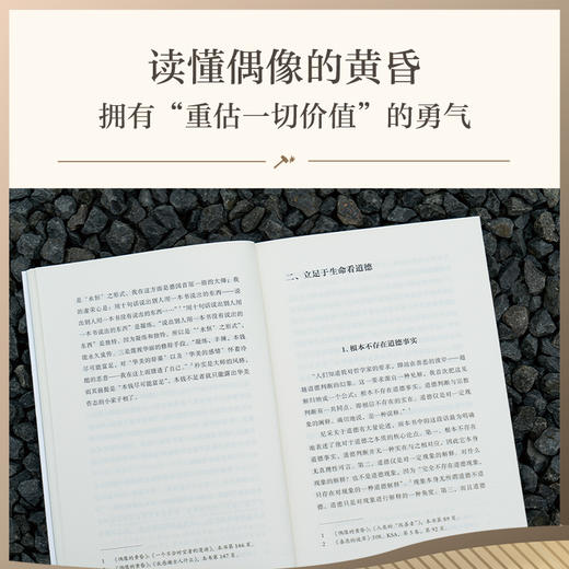 偶像的黄昏或怎样用锤子从事哲学思考（学者周国平译自德语原文，译文生动流畅，更附长文导读解析，充分呈现尼采思想闪光点。） 商品图4