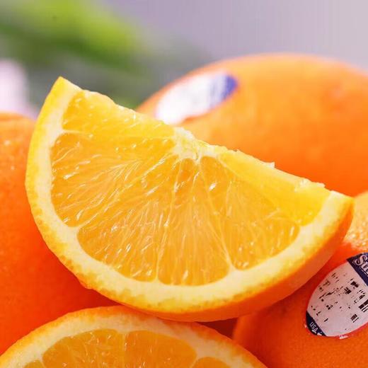 新奇士橙礼盒2.5kg - 柑橘礼盒 商品图1