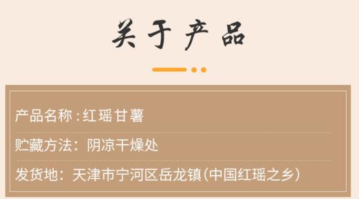 25年宁河红瑶甘薯 商品图10