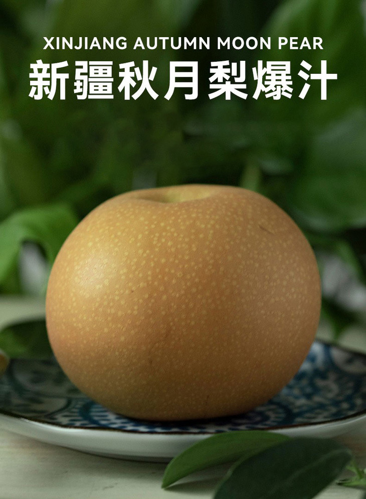 详情图_1_01.jpg 详情图_1_01.jpg