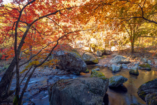 航拍中国:·本溪红叶+尾矿坝+红海滩+奈曼沙漠、怪柳航拍摄影8天 商品图0