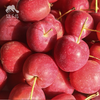 生态苹果（新疆） | 合作生产 * Ecological Apple | Partner Production 商品缩略图3