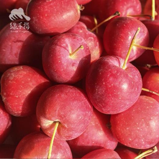 生态苹果（新疆） | 合作生产 * Ecological Apple | Partner Production 商品图3