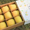 【山东奶油苹果】脆甜多汁 商品缩略图3