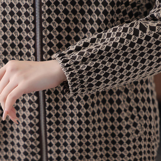 9529DT2025春秋中年女装连帽夹克上衣中老年年轻妈妈秋装洋气时尚外套 商品图2