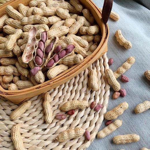 【龙岩湿烤花生】颗粒饱满大小均匀，酥脆香，壳易剥，晴天软人-CC 商品图5