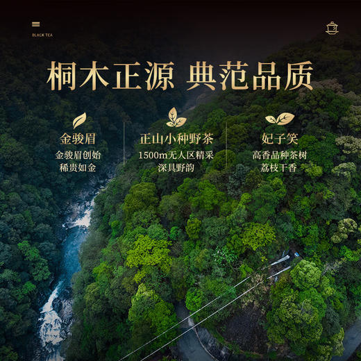 正山堂 国韵天香礼盒装 金骏眉野茶妃子笑组合特级红茶茶叶年货送礼90g 商品图4