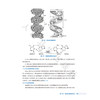 生物化学 第4四版 十四五规划教材 全国高等职业教育药品类专业第四轮规划教材 晁相蓉 尚喜雨 主编 9787117379960人民卫生出版社 商品缩略图4