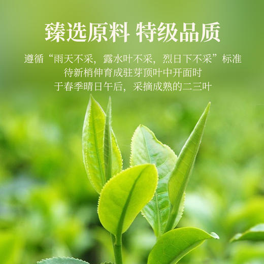 华祥苑-武夷印象特级肉桂礼盒 252g 商品图3