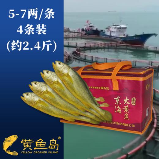 黄鱼岛有机深海大黄鱼  顺丰包邮 商品图1