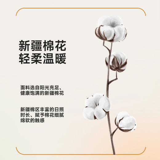 男士双面磨毛全棉保暖内衣 商品图1