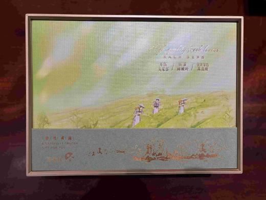 「蓝蜜蜂·礼盒」春色满园 商品图2