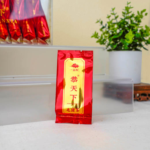 恭天下正宗山西宁武特产毛健茶来财精装袋泡茶滋味醇厚回甘耐泡便携装 商品图2
