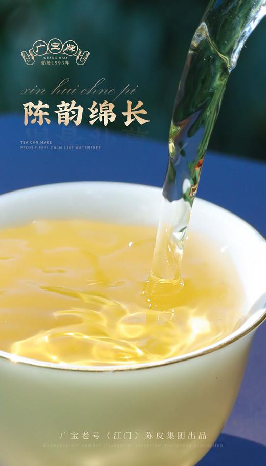 广宝老号(江门)陈皮 2000年 新会陈皮 商品图7