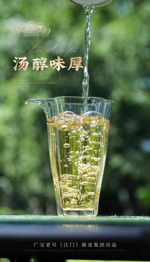 广宝老号(江门)陈皮 2005年 新会陈皮 商品图5