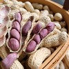 【龙岩湿烤花生】颗粒饱满大小均匀，酥脆香，壳易剥，晴天软人-CC 商品缩略图7