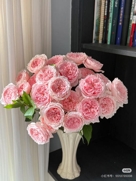 国产玫瑰-【仁爱公主】 商品图2